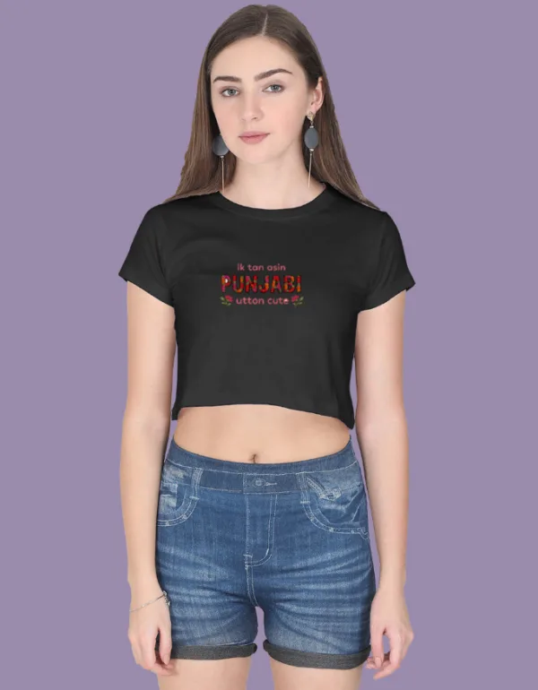 Cute Punjabi Crop Top - Image 3