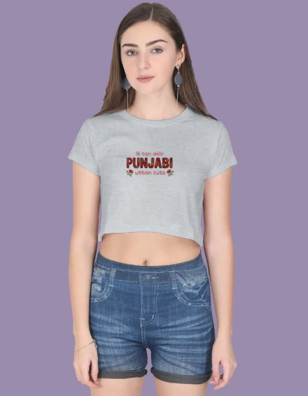 Cute Punjabi Crop Top - Image 5