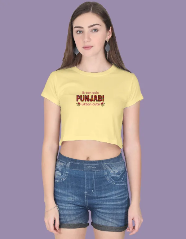Cute Punjabi Crop Top - Image 8
